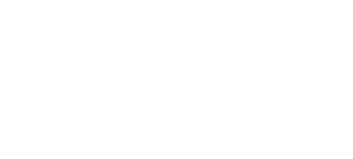 partner logo - truemoney